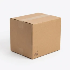 Plain Shipping Box